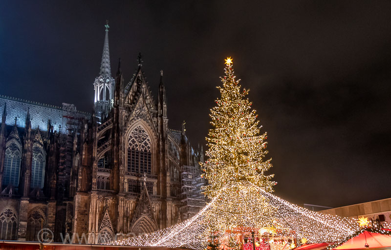 The Cologne Cathedral and the Christmas Market